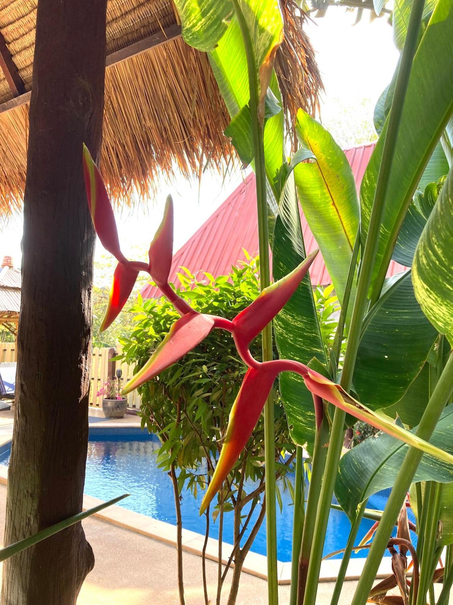Villa Ayutthaya At Kantiang Bay 란타섬 외부 사진